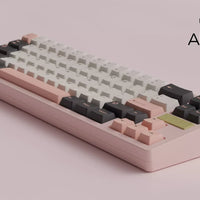 AuroraR2_Pink01