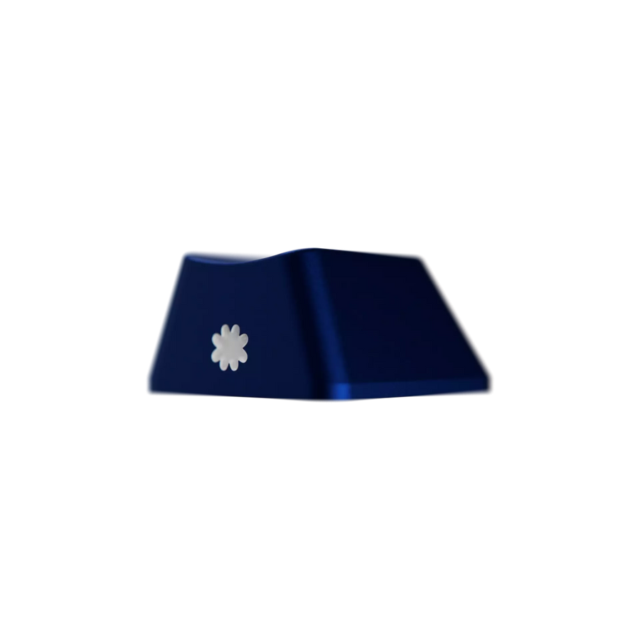BLMN_v001_01_REAR_1
