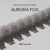 Switch_AuroraFog_02